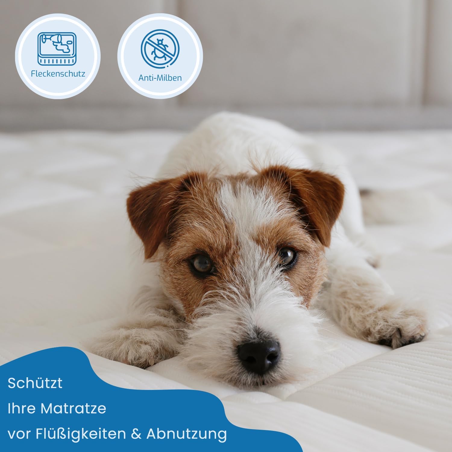 Livessa Gesteppte Matratzenschoner, wasserdicht